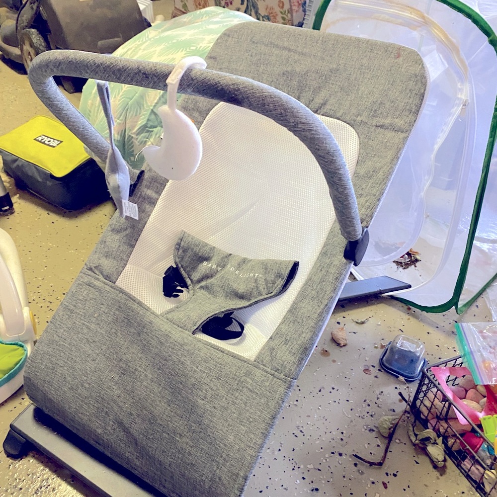 Baby Delight baby bouncer (orig. $110)